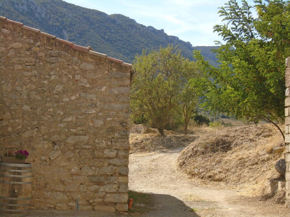 Chambre d'hôtes les trois chemins Cucugnan Extérieur photo